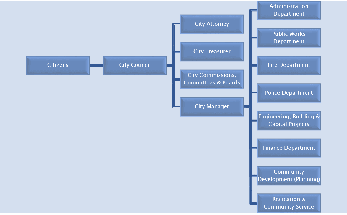 City Government Structure